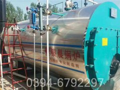 厂家直供太康锅炉WNS型500公斤蒸发量天然气锅炉耗气量