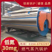 煤气锅炉蒸汽锅炉